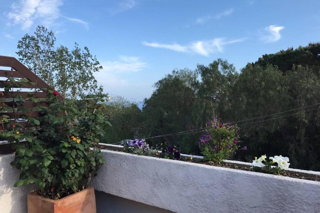 Casita Blanca Con Fibra Optica Y Piscina Cominutaria Βίλα Τόσα ντε Μαρ Εξωτερικό φωτογραφία