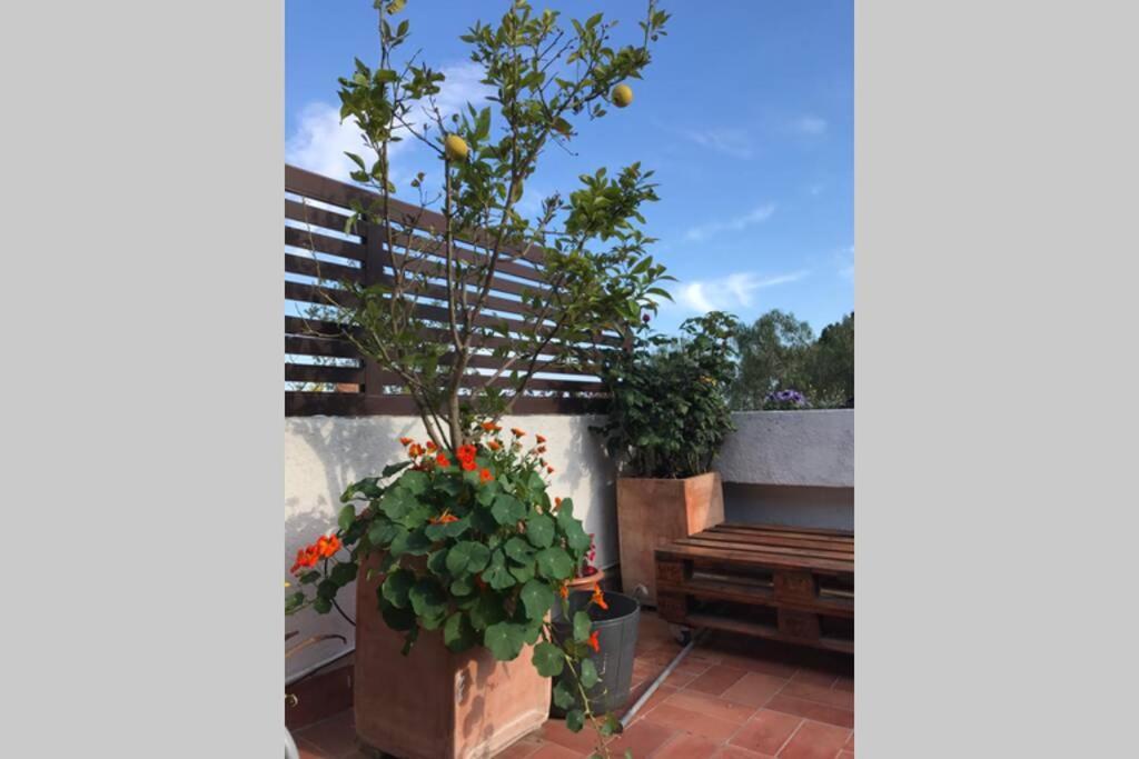 Casita Blanca Con Fibra Optica Y Piscina Cominutaria Βίλα Τόσα ντε Μαρ Εξωτερικό φωτογραφία